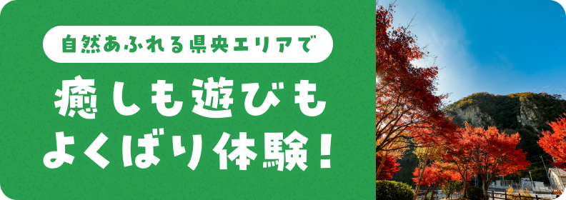 県央特設サイト