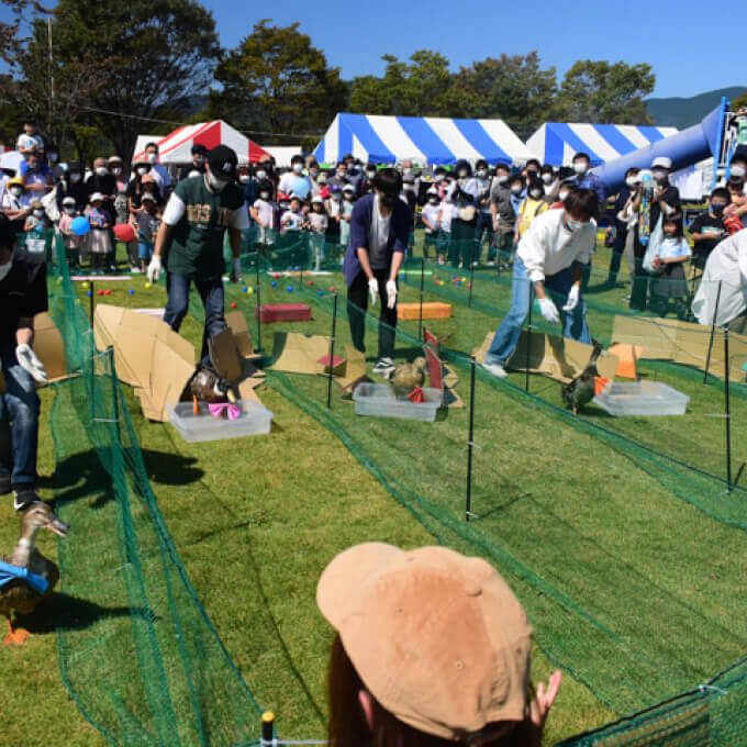 アクアフェスタin福富