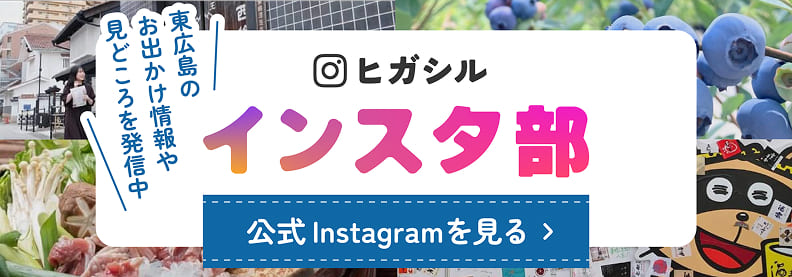 ヒガシルインスタ部