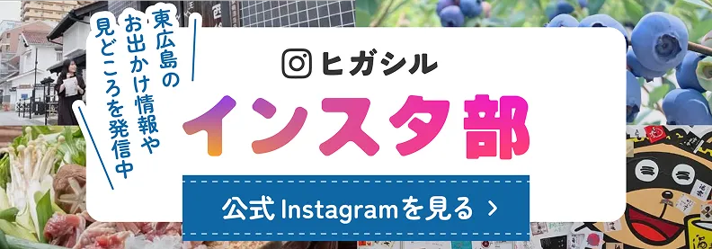 ヒガシルインスタ部