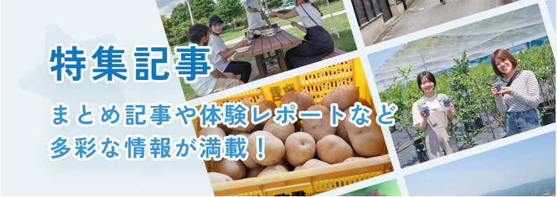 特集記事