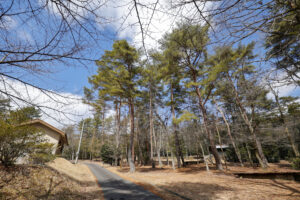 県央の森公園
