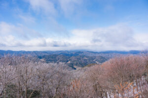 鷹ノ巣山