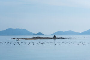 ホボロ島