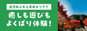 県央エリア