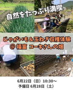 じゃがいも&玉ねぎの収穫体験 in 福富