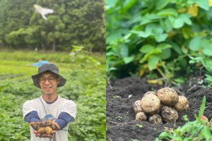 じゃがいも収穫体験(自然でトトノウ会)