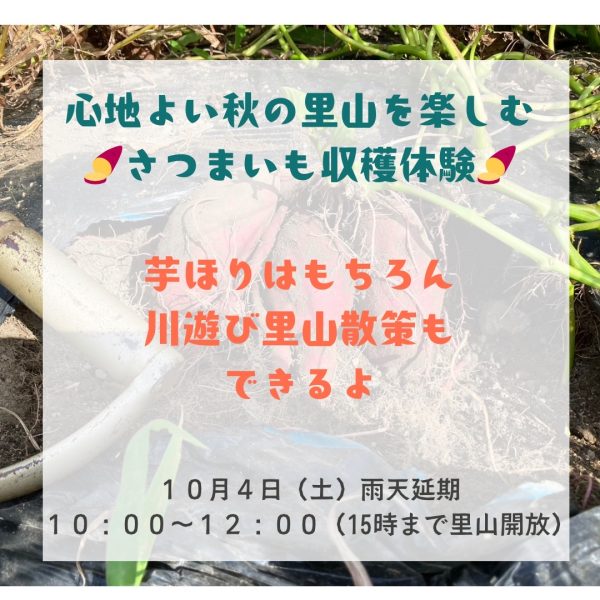 サツマイモ収穫体験&販売会