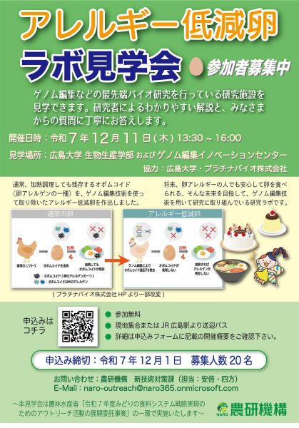 アレルギー低減卵ラボ見学会